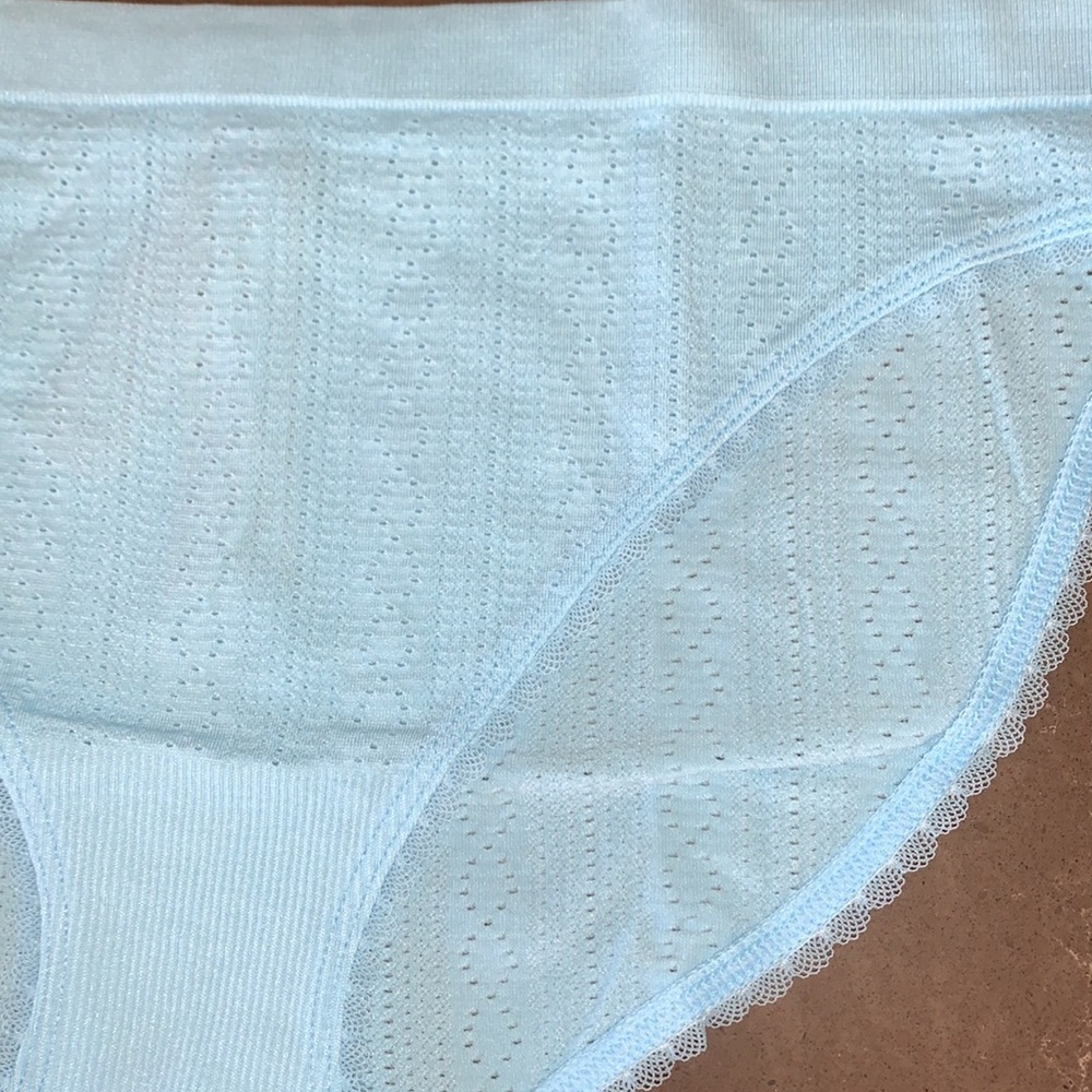 NWT VS Seamless Pointelle Bikini Panty M - Picture 4 of 6